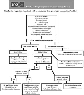 Place of Angioplasty for Coronary Artery Anomalies With Interarterial Course